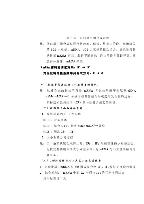 蛋白质生物合成过程