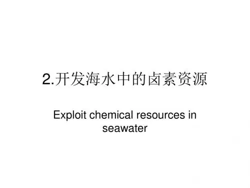 高一化学以食盐为原料的化工产品(新编2019)