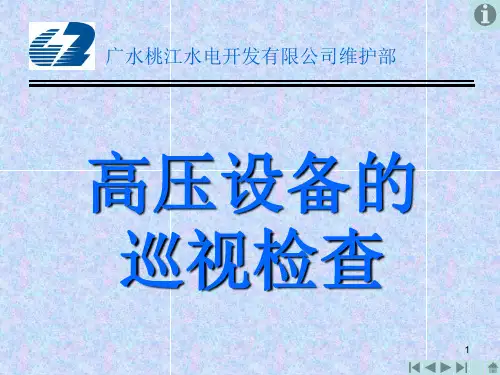电气设备巡视PPT课件