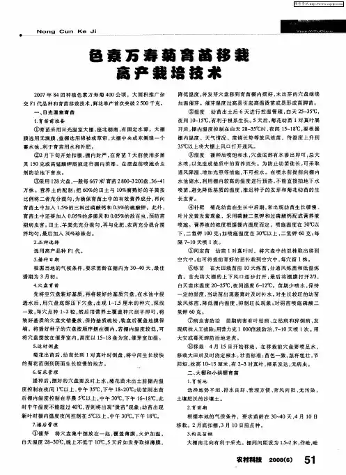 色素万寿菊育苗移栽高产栽培技术
