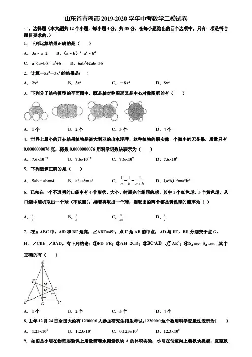 山东省青岛市2019-2020学年中考数学二模试卷含解析