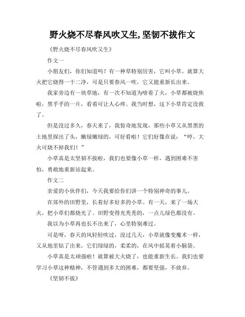 野火烧不尽春风吹又生,坚韧不拔作文