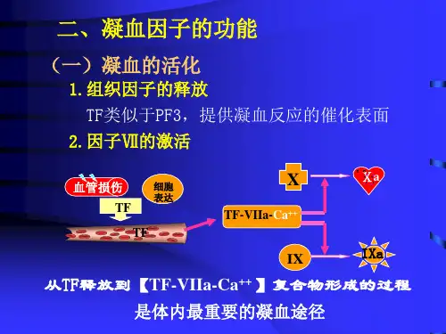 临床血液学检验-21凝血因子-133