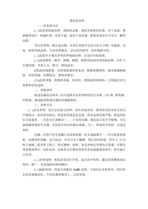 菊花的育种