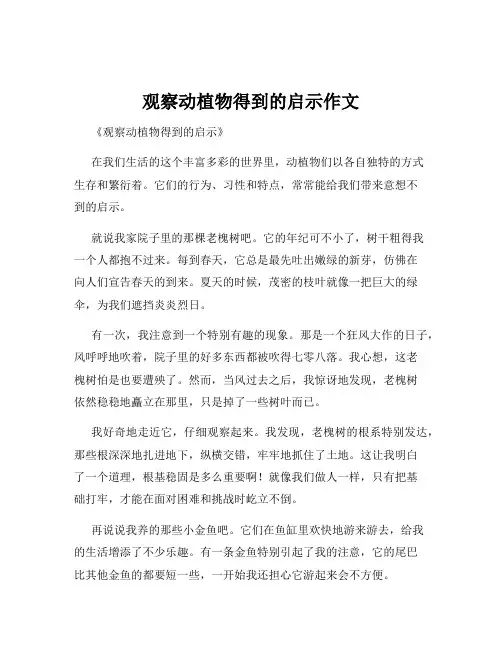 观察动植物得到的启示作文