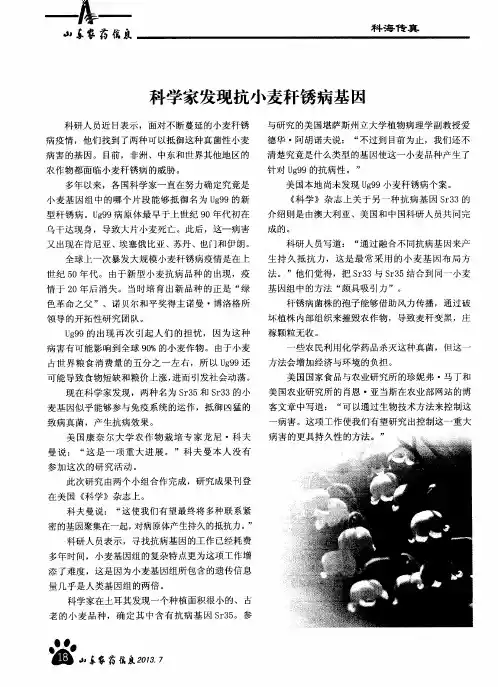 科学家发现抗小麦秆锈病基因