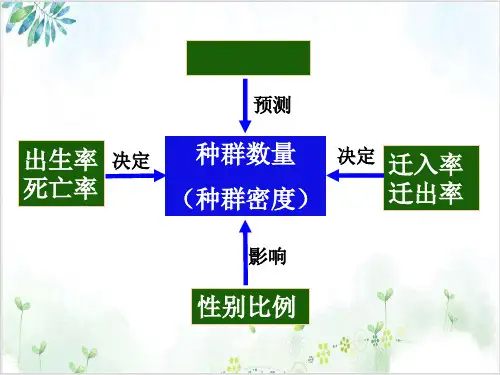 人教版高中生物必修三种群数量的变化(27张)-PPT优秀课件