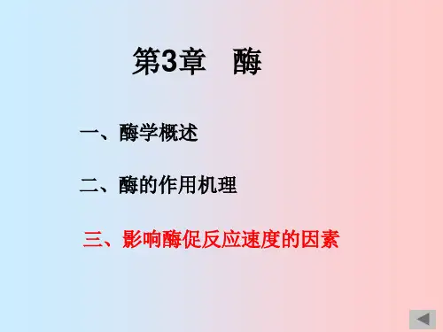 生物化学03 酶