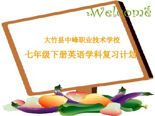 新目标人教版七年级下英语复习计划1
