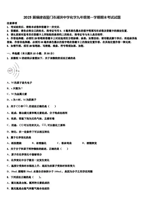 2025届福建省厦门市湖滨中学化学九年级第一学期期末考试试题含解析