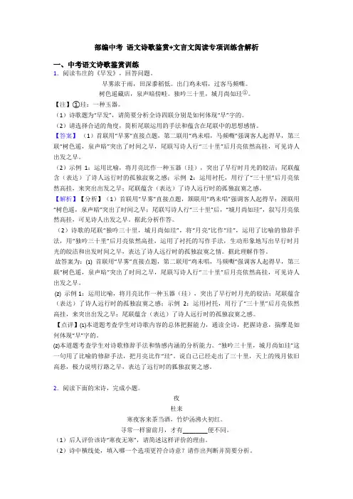 部编中考 语文诗歌鉴赏+文言文阅读专项训练含解析 (3)