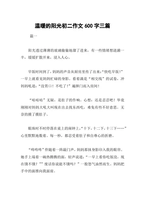 温暖的阳光初二作文600字三篇