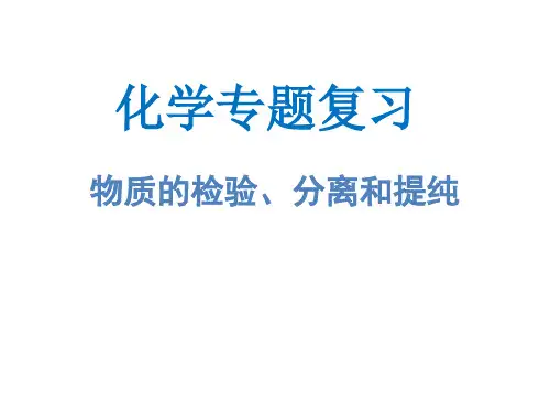 中考二轮专题复习： 物质的检验、分离和提纯 (共14张PPT)