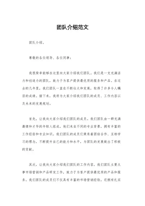 团队介绍范文