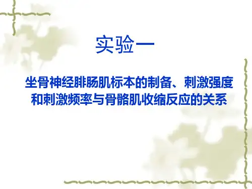 实验一坐骨神经腓肠肌标本的制备、刺激强度和刺激频率与骨骼肌收缩反应的关系