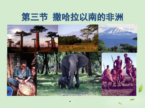 七年级地理下册_《撒哈拉以南的非洲》-课件1_人教新课标版