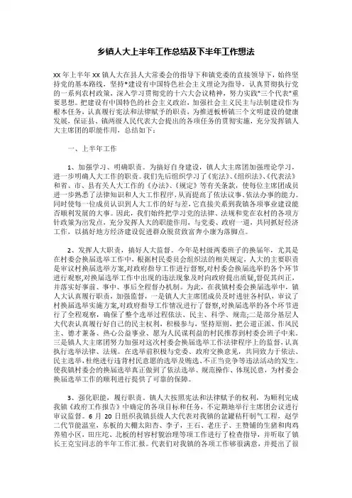 乡镇人大上半年工作总结及下半年工作想法