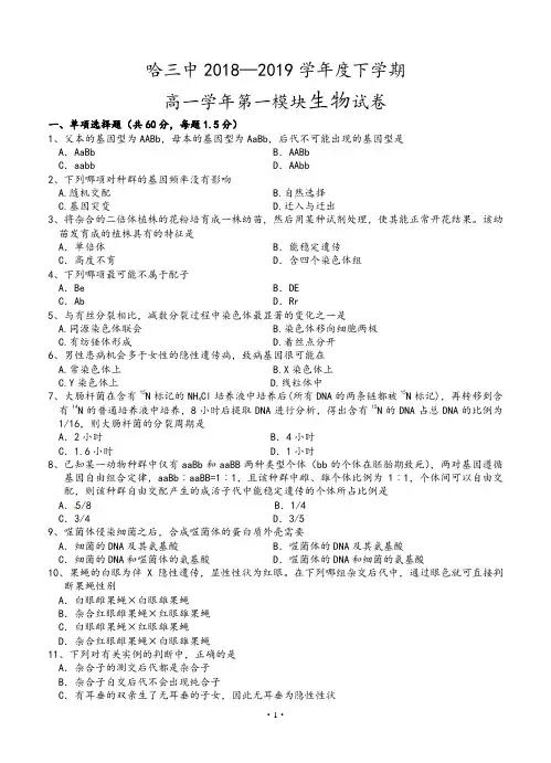 2019学年度下学期高一期末考试生物试卷(含答案)