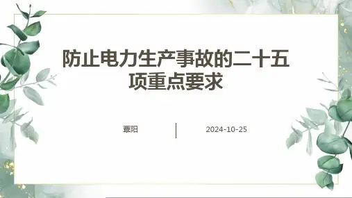 防止电力生产事故的二十五项重点要求(2023版)培训课件