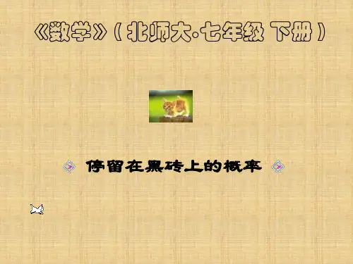 【数学课件】停留在黑砖上的概率(北师大课标)
