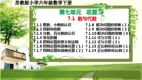 苏教版小学六年级数学下册第七单元7.1《数与代数》PPT课件
