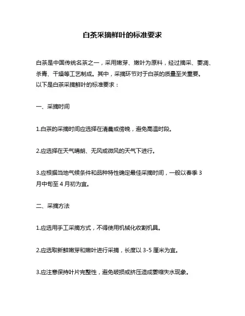 白茶采摘鲜叶的标准要求