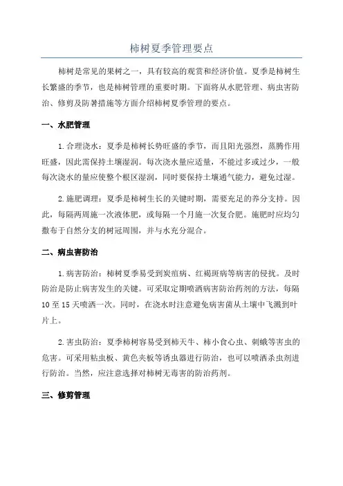 柿树夏季管理要点