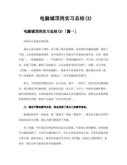 电脑城顶岗实习总结