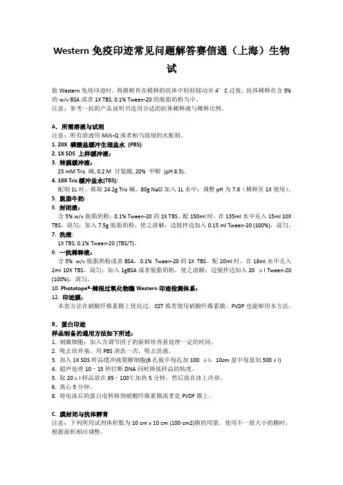 Western免疫印迹常见问题解答赛信通(上海)生物试