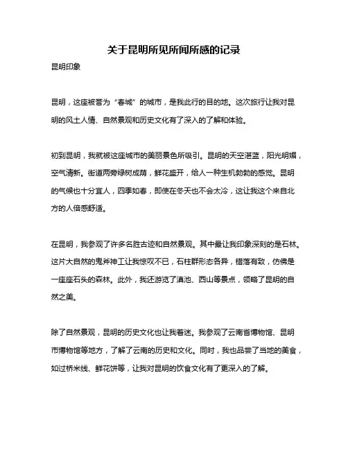 关于昆明所见所闻所感的记录