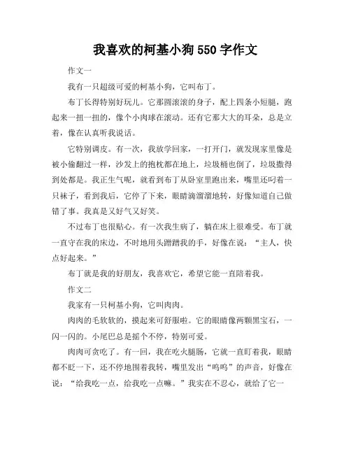 我喜欢的柯基小狗550字作文