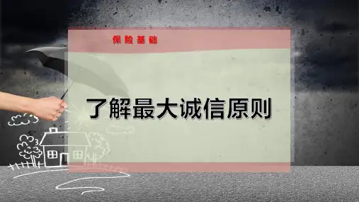 了解最大诚信原则