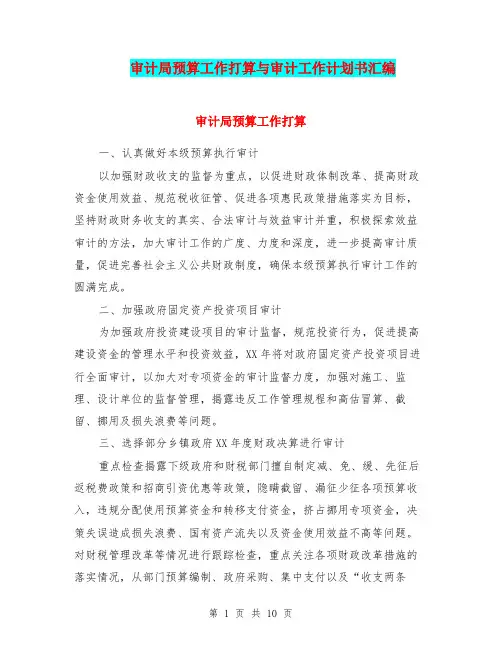 审计局预算工作打算与审计工作计划书汇编