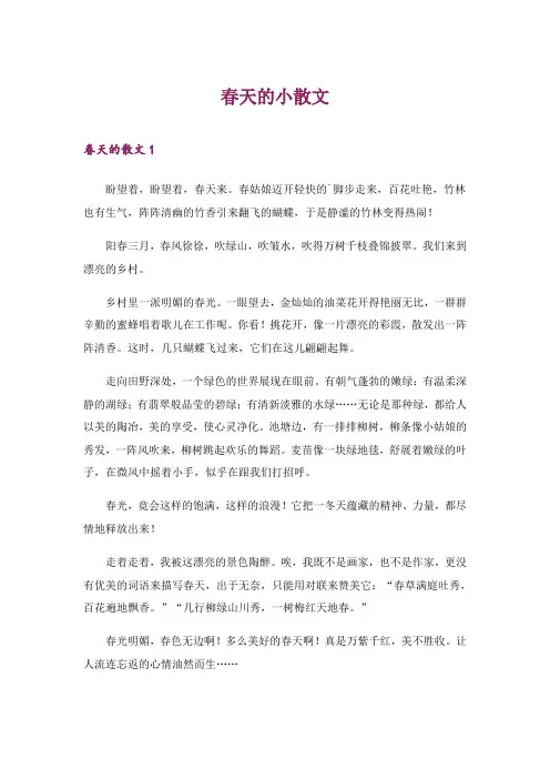 2024年春天的小散文