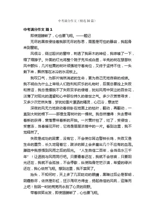 中考满分作文（精选30篇）