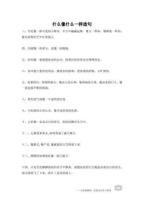 什么像什么一样造句