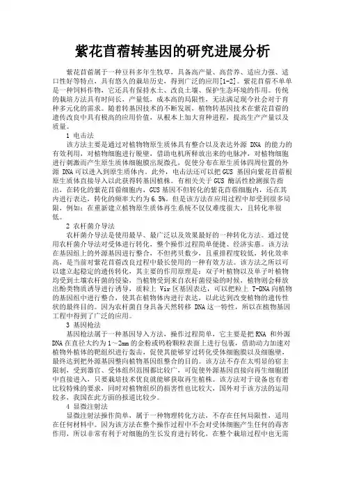 最新 紫花苜蓿转基因的研究进展分析-精品