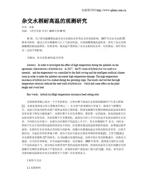 杂交水稻耐高温的观测研究