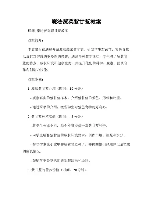 魔法蔬菜紫甘蓝教案