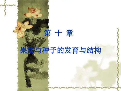 植物学--果实与种子的发育与结构 共40页