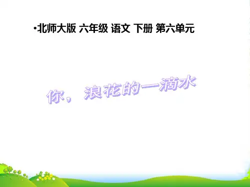 北师大版小学六年级下册语文《你,浪花的一滴水》课件PPT