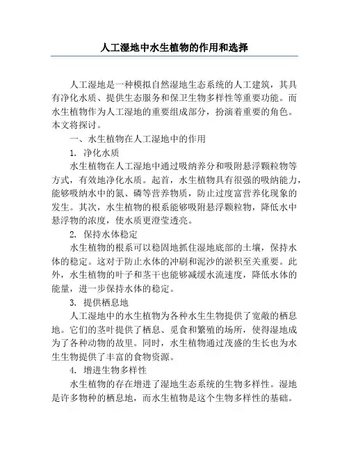 人工湿地中水生植物的作用和选择