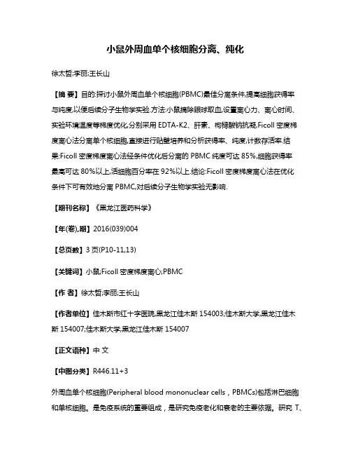 小鼠外周血单个核细胞分离、纯化