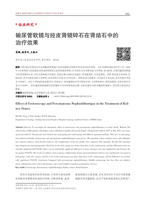 输尿管软镜与经皮肾镜碎石在肾结石中的治疗效果