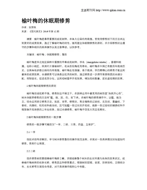 榆叶梅的休眠期修剪