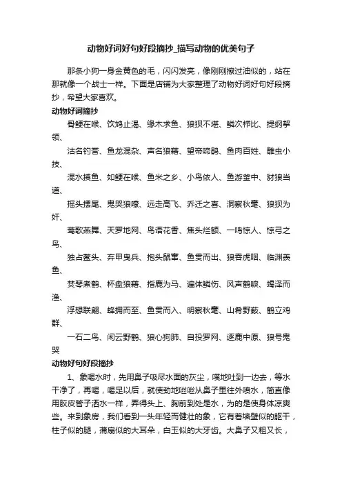动物好词好句好段摘抄_描写动物的优美句子