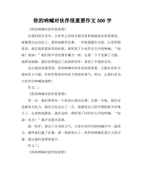 你的呐喊对伙伴很重要作文500字