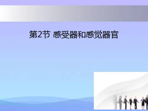 2018北师大版生物七年级下册12.2《感受器和感觉器官》(第1课时)ppt课件课件PPT