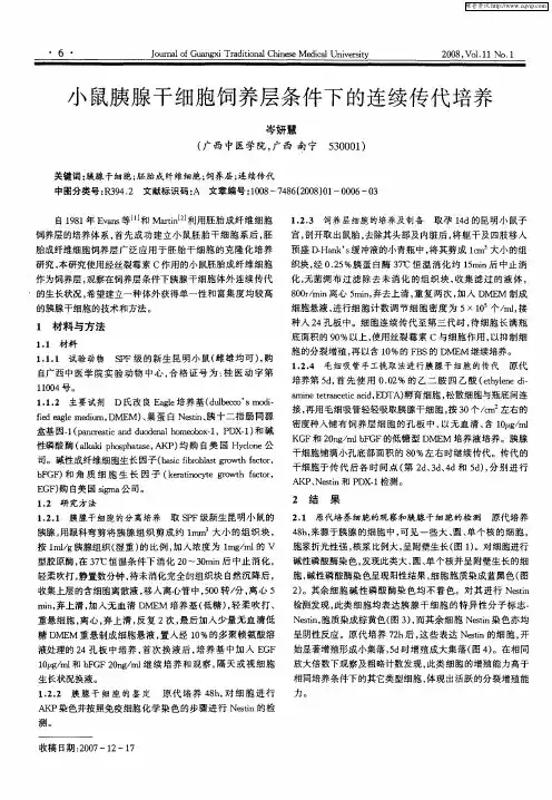 小鼠胰腺干细胞饲养层条件下的连续传代培养