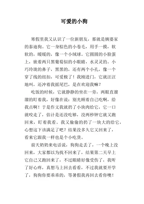 可爱的小狗